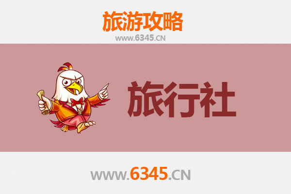 临高国营加来农场旅游全攻略：本地旅行社推荐与深度体验指南